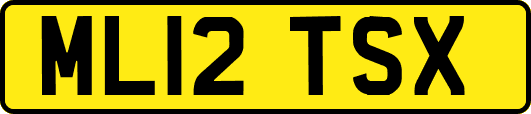 ML12TSX