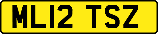 ML12TSZ
