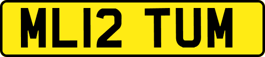 ML12TUM