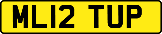 ML12TUP