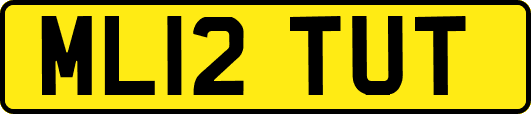 ML12TUT