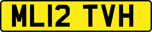ML12TVH