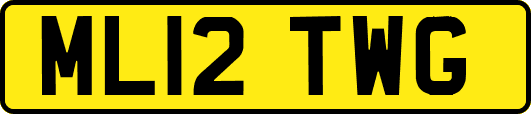 ML12TWG