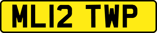 ML12TWP