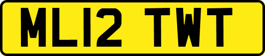 ML12TWT