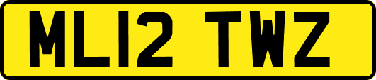 ML12TWZ