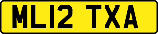 ML12TXA
