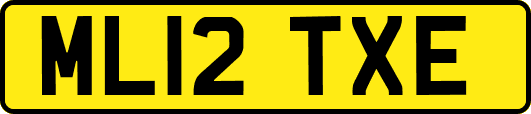 ML12TXE