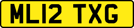 ML12TXG
