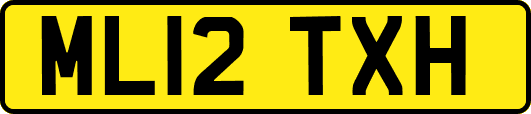 ML12TXH