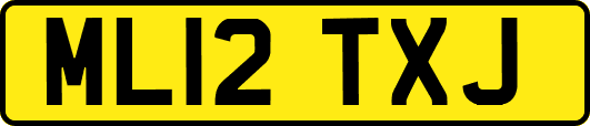 ML12TXJ