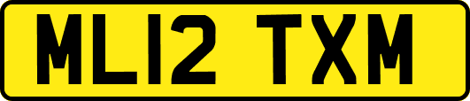ML12TXM