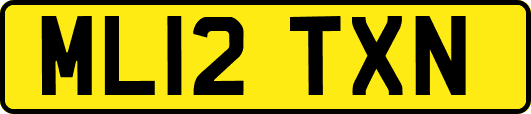 ML12TXN