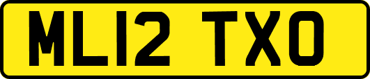 ML12TXO