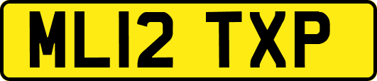 ML12TXP