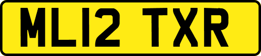 ML12TXR
