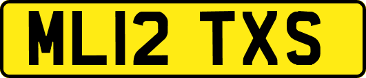 ML12TXS