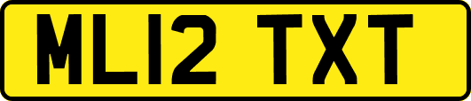 ML12TXT