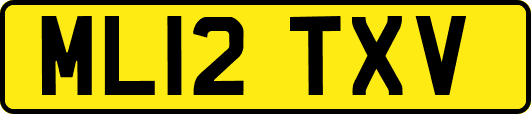 ML12TXV