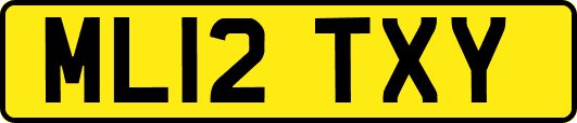 ML12TXY