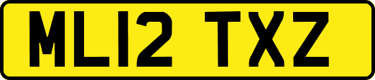 ML12TXZ