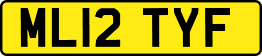 ML12TYF