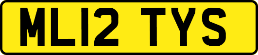 ML12TYS