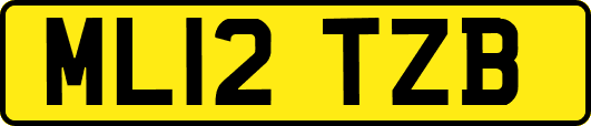 ML12TZB