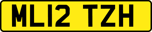 ML12TZH