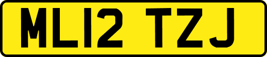 ML12TZJ