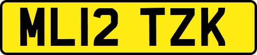 ML12TZK