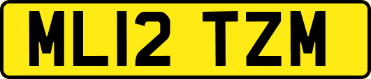 ML12TZM