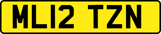 ML12TZN