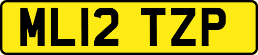 ML12TZP