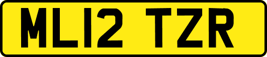 ML12TZR
