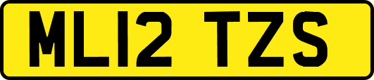 ML12TZS