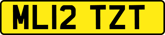ML12TZT