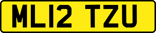 ML12TZU