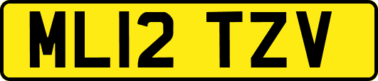 ML12TZV