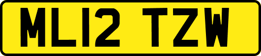 ML12TZW