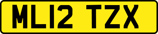 ML12TZX