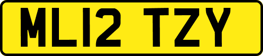 ML12TZY
