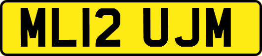 ML12UJM