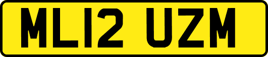 ML12UZM