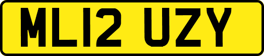 ML12UZY