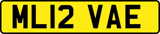 ML12VAE