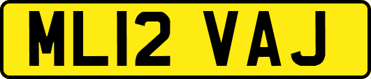 ML12VAJ