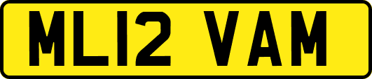ML12VAM