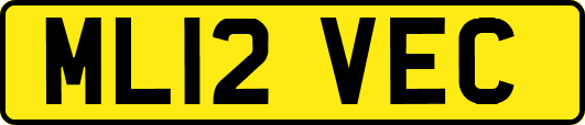 ML12VEC