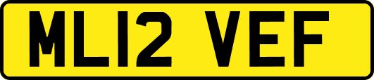 ML12VEF